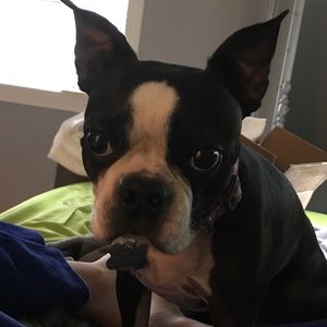 Meet your Posher, Lillian